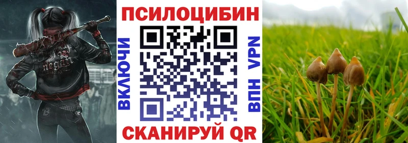 блэк спрут ТОР  Старая Купавна  Псилоцибиновые грибы MAGIC MUSHROOMS  закладки 