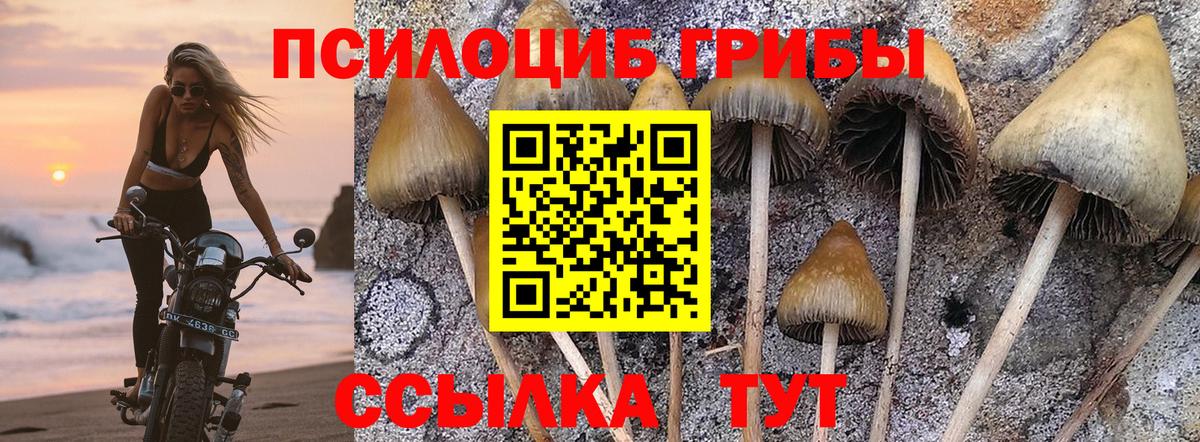 Codein  Вход с VPN  Меф МЯУ МЯУ   ГАШИШ  ГАШИШ  Каннабис  Канабис  Старая Купавна  Экстази 